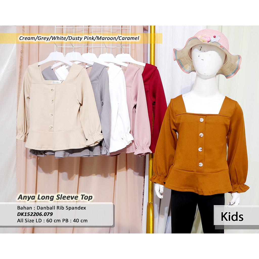 Anya Long Sleeve Top(DK.079)