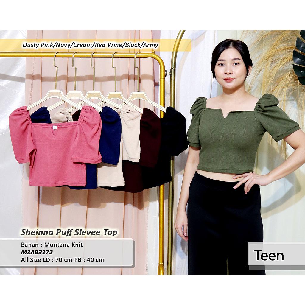 Sheinna  Puff Sleeve Top