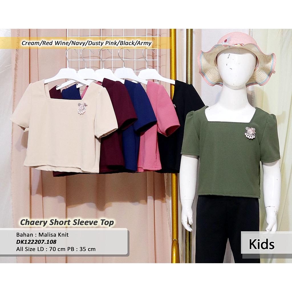 Chaery Short Sleeve Top(DK.108)