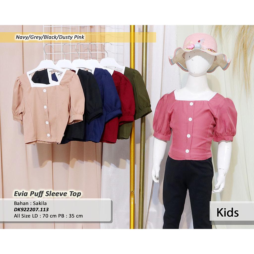 Evia Puff Sleeve Top  (DK.113)