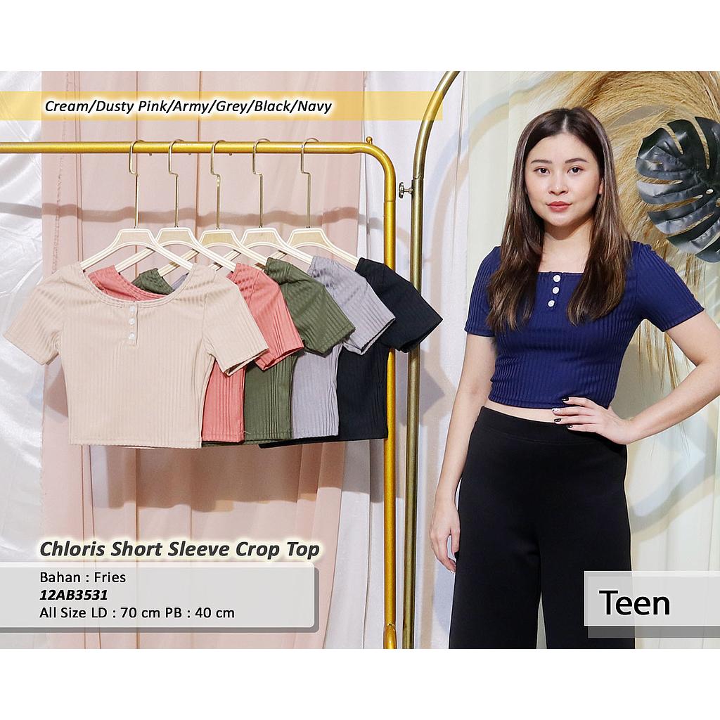 Chloris Short Sleeve Crop Top(AB3531)