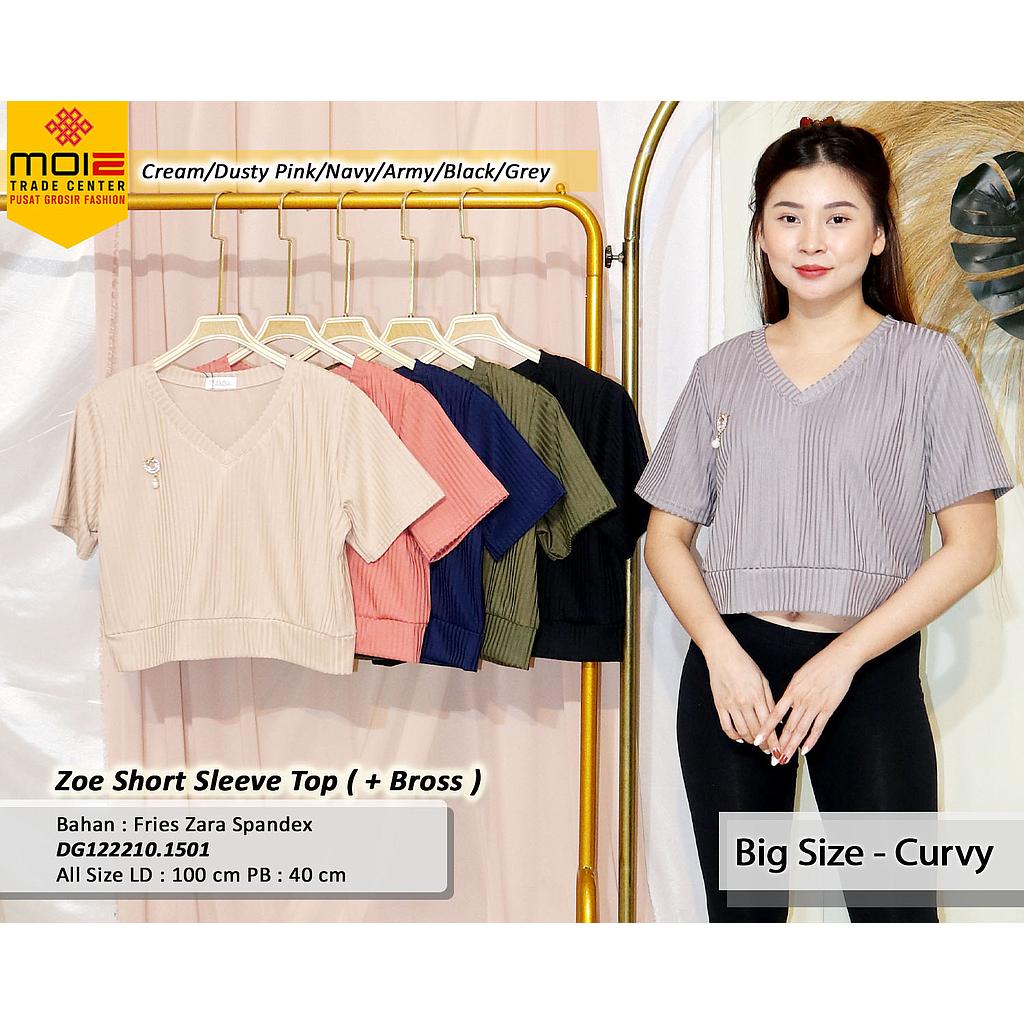 Zoe Short sleeve top(+ Bros) (DG.1501)