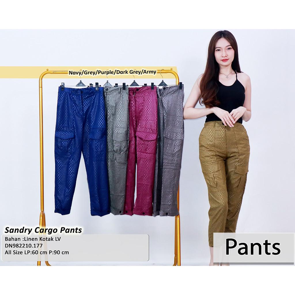 Sandry chargo Pants  (DN177)