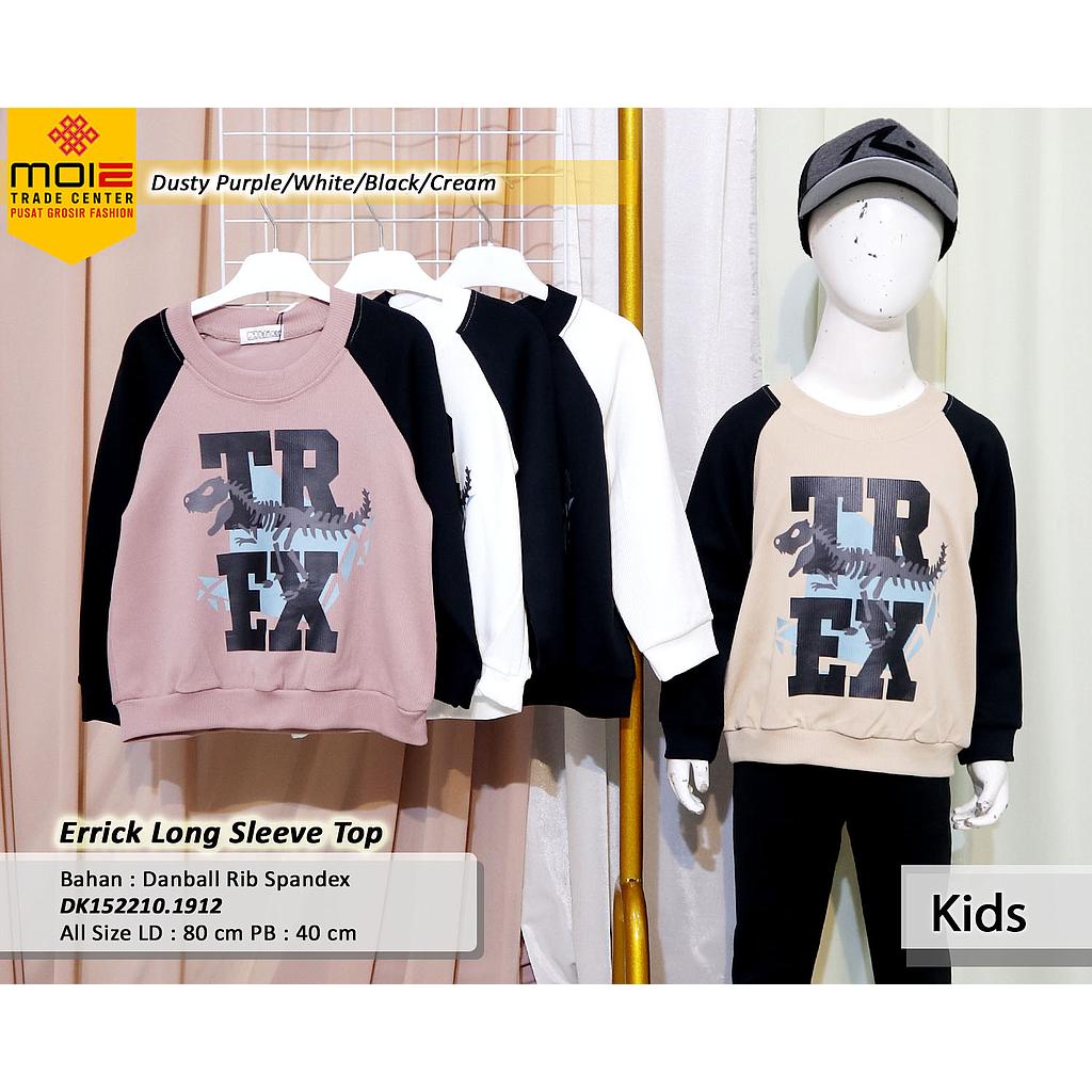 Errick long Sleeve top(DK.191)