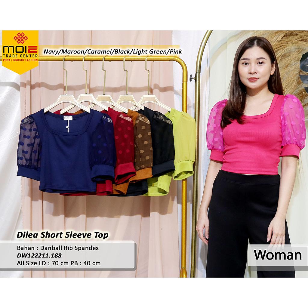Dilea Short Sleeve Top  (DW.188)