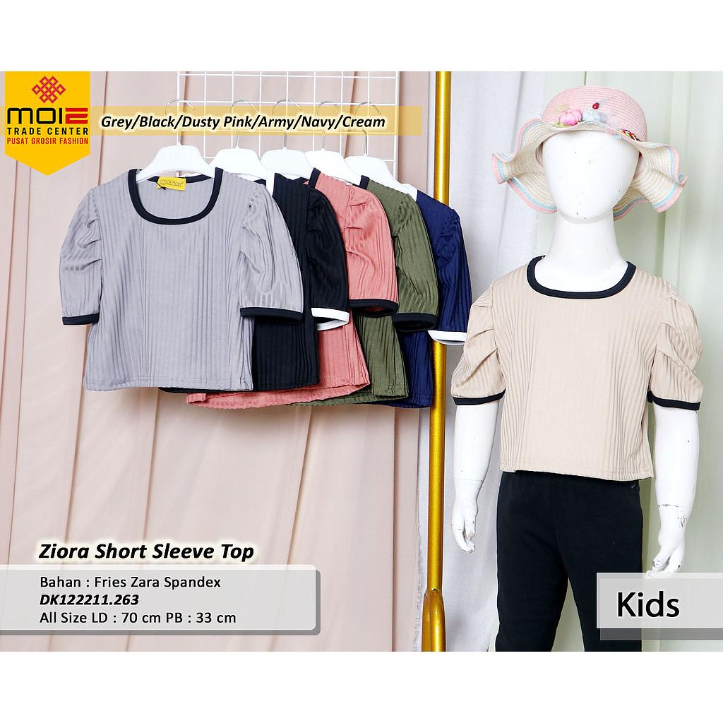 Ziara Short Sleeve Top (DK.263)