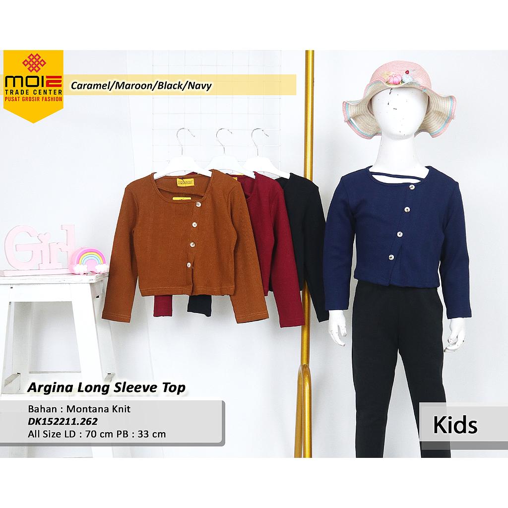  Argina long sleeve top (DK.262)