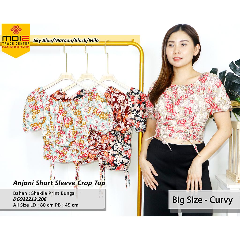 Anjani Short Sleeve Crop Top (DG.206)