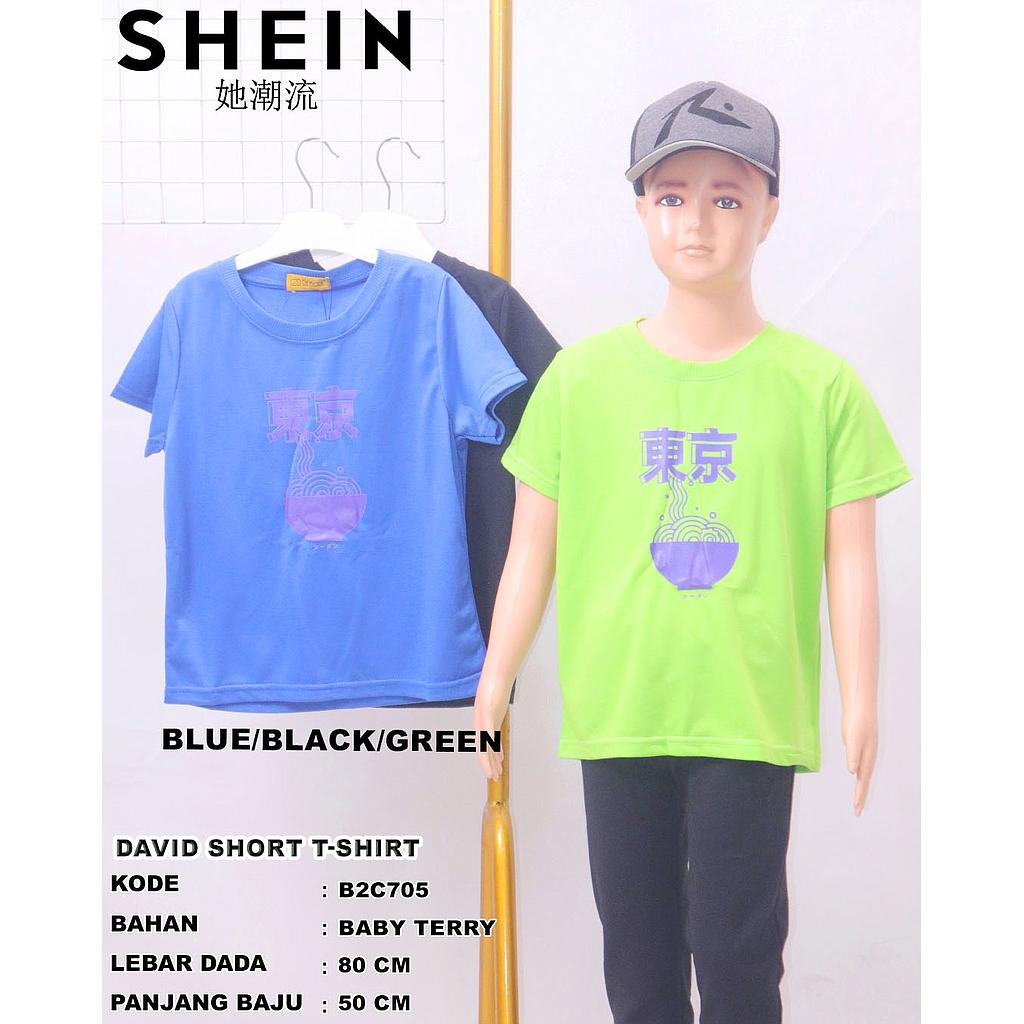 david short T-shirt (C705)