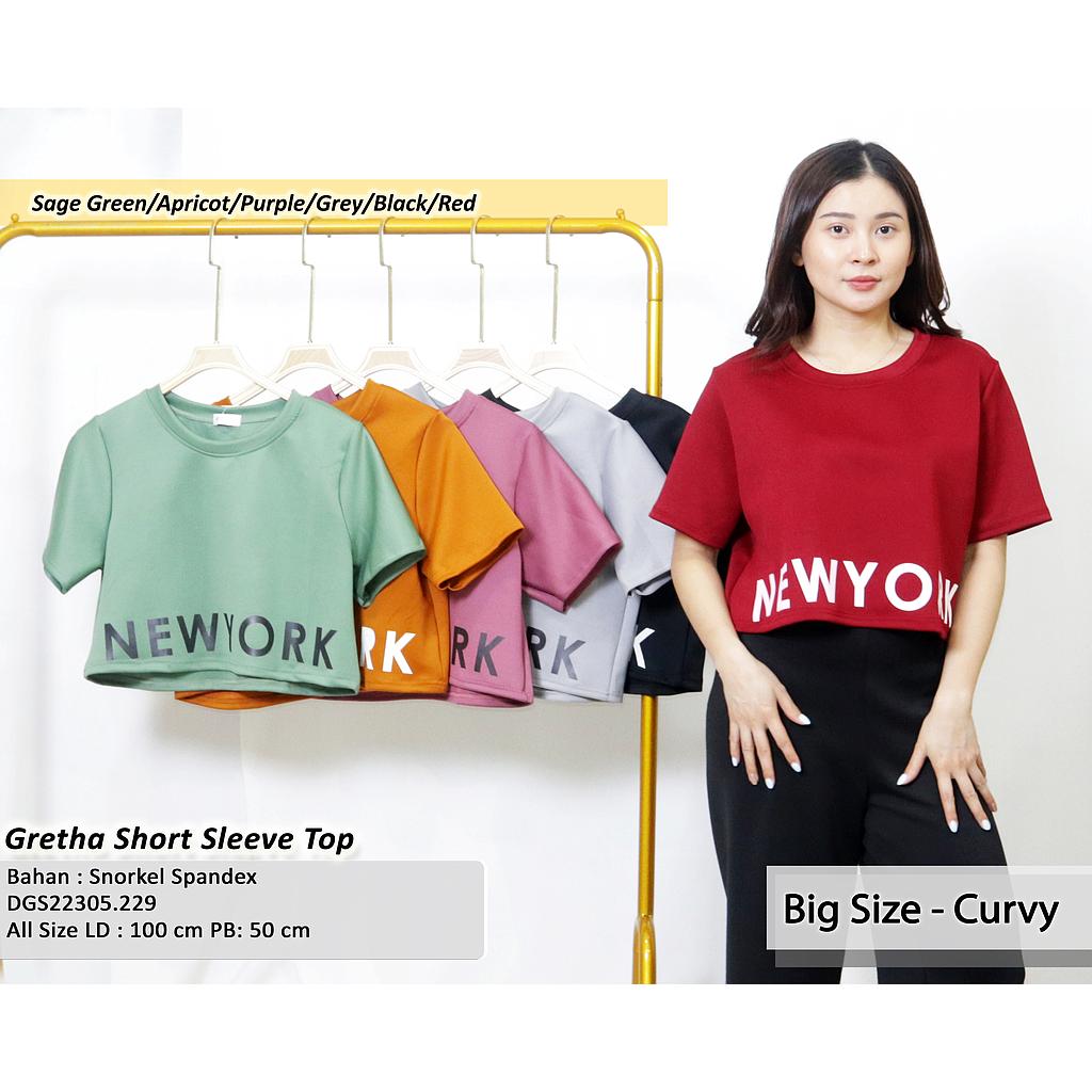 Gretha short sleeve top  (DG229)