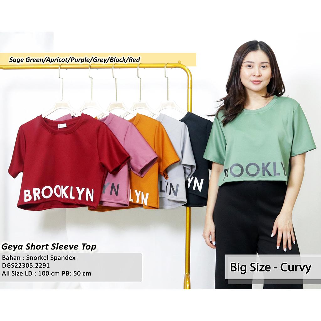 Geya short sleeve top (DG229)