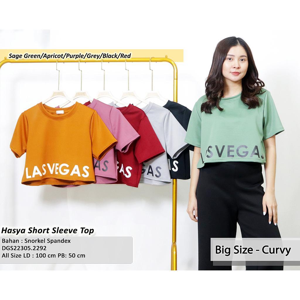 Hasya short sleeve top (DG229)