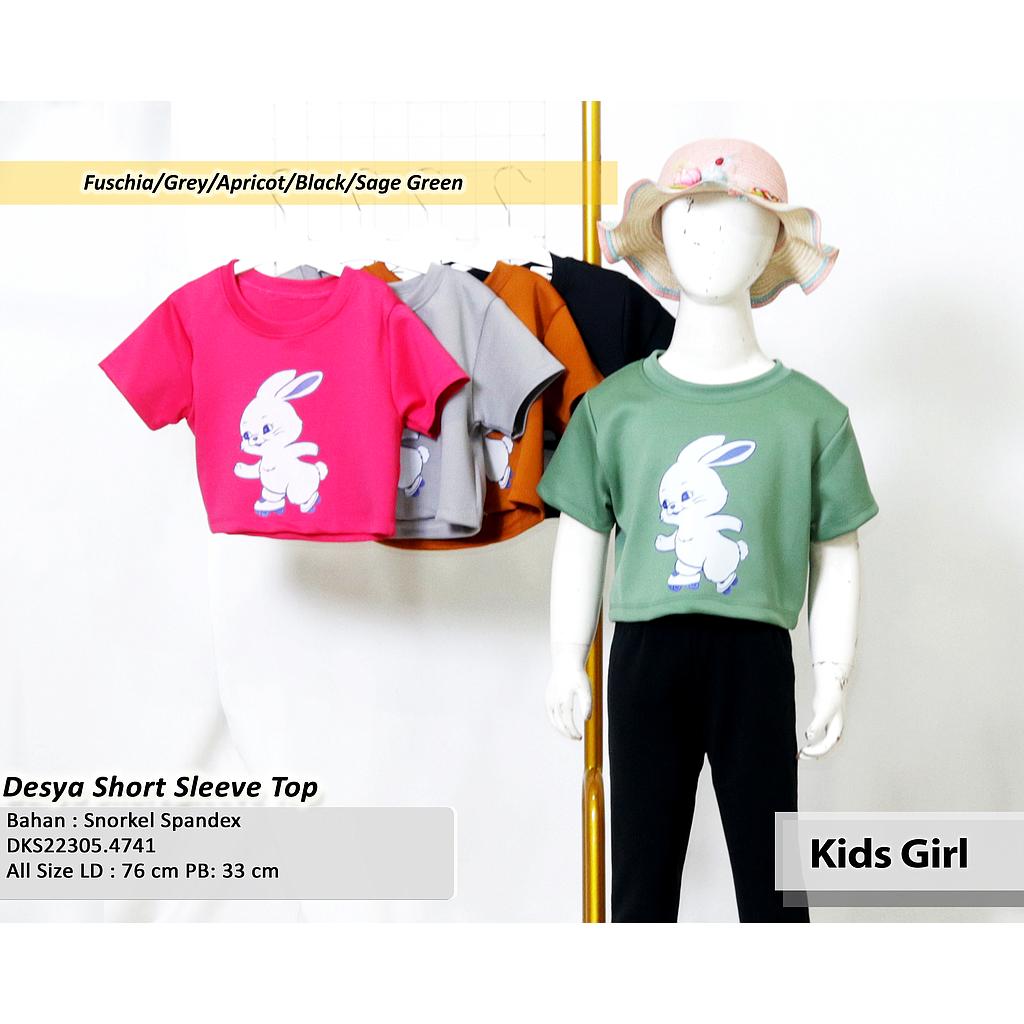 Desya short Sleeve top (DK474)