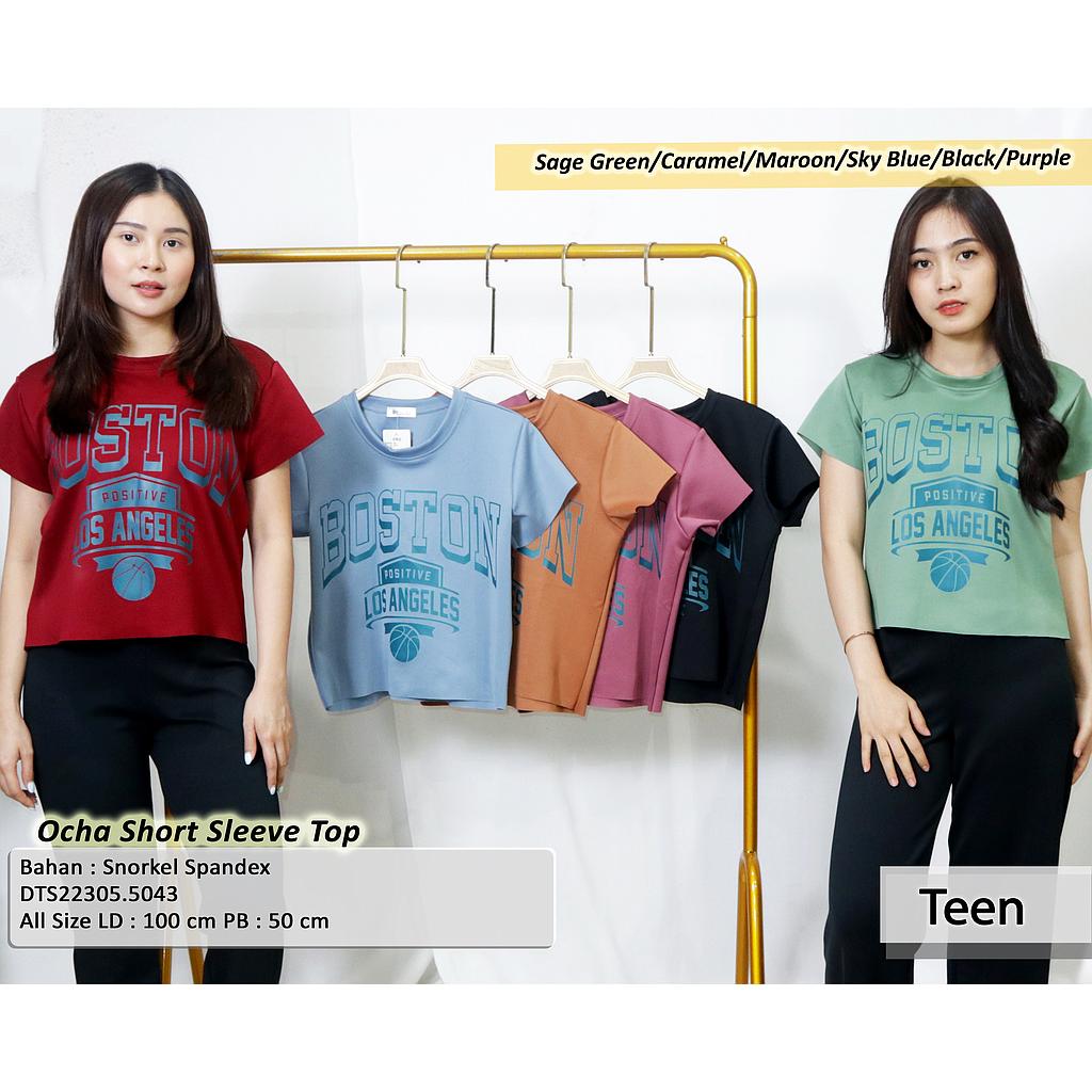 Ocha Short Sleeve Top (DT504)