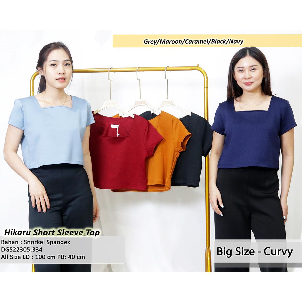 Hikaru short sleeve top (DG334)