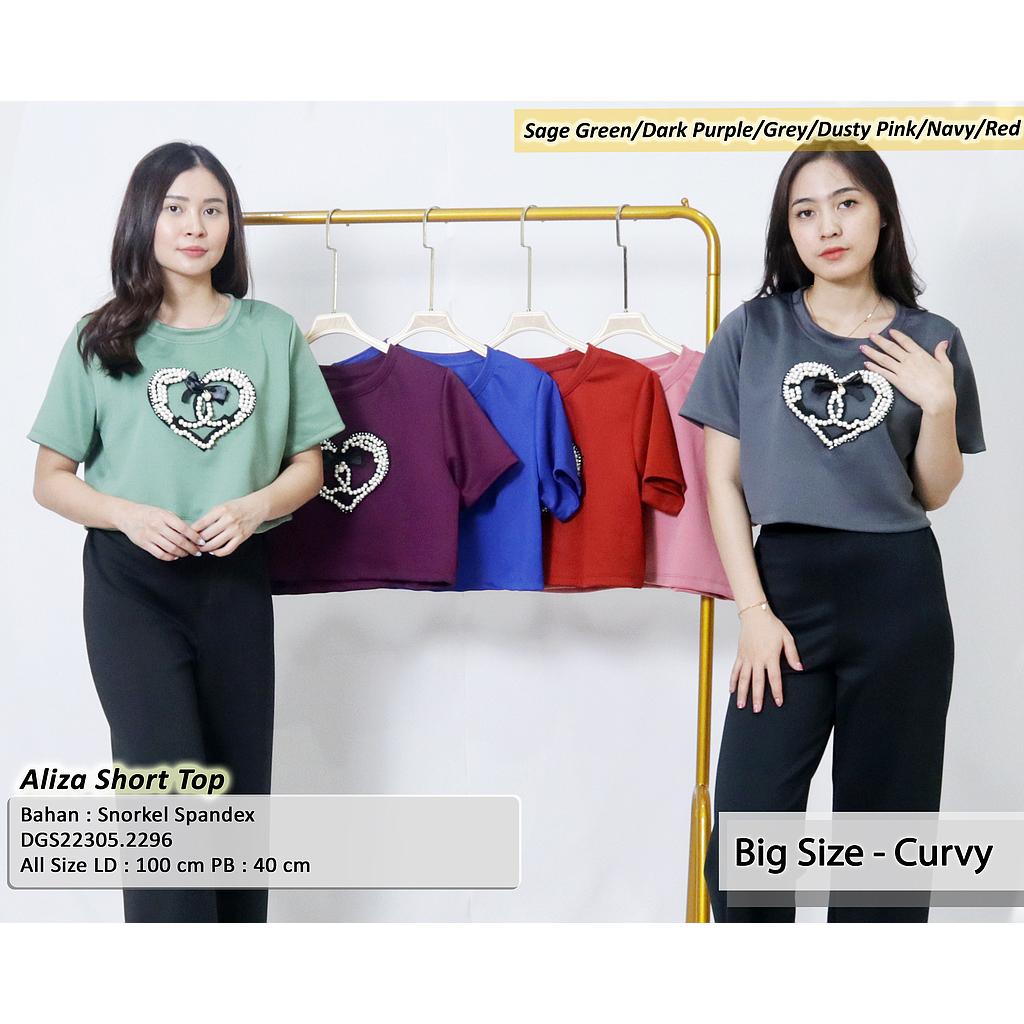 Aliza short top  (DG229)