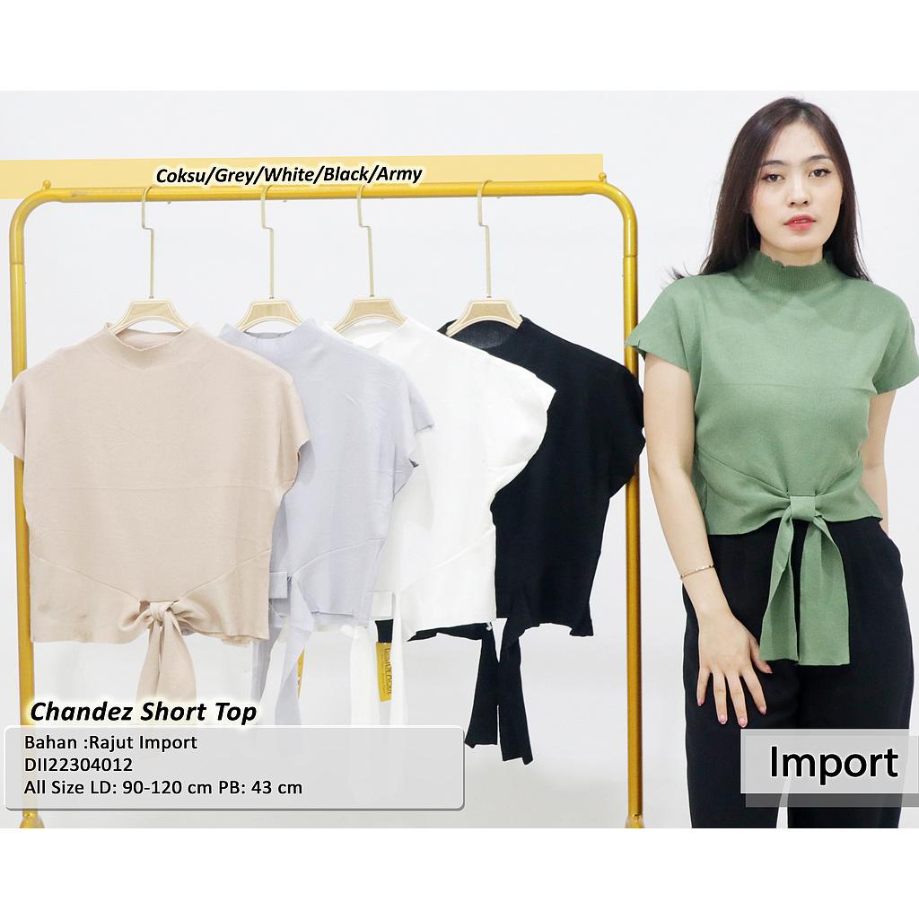 Chandez Short sleeve Top (DII22304012)