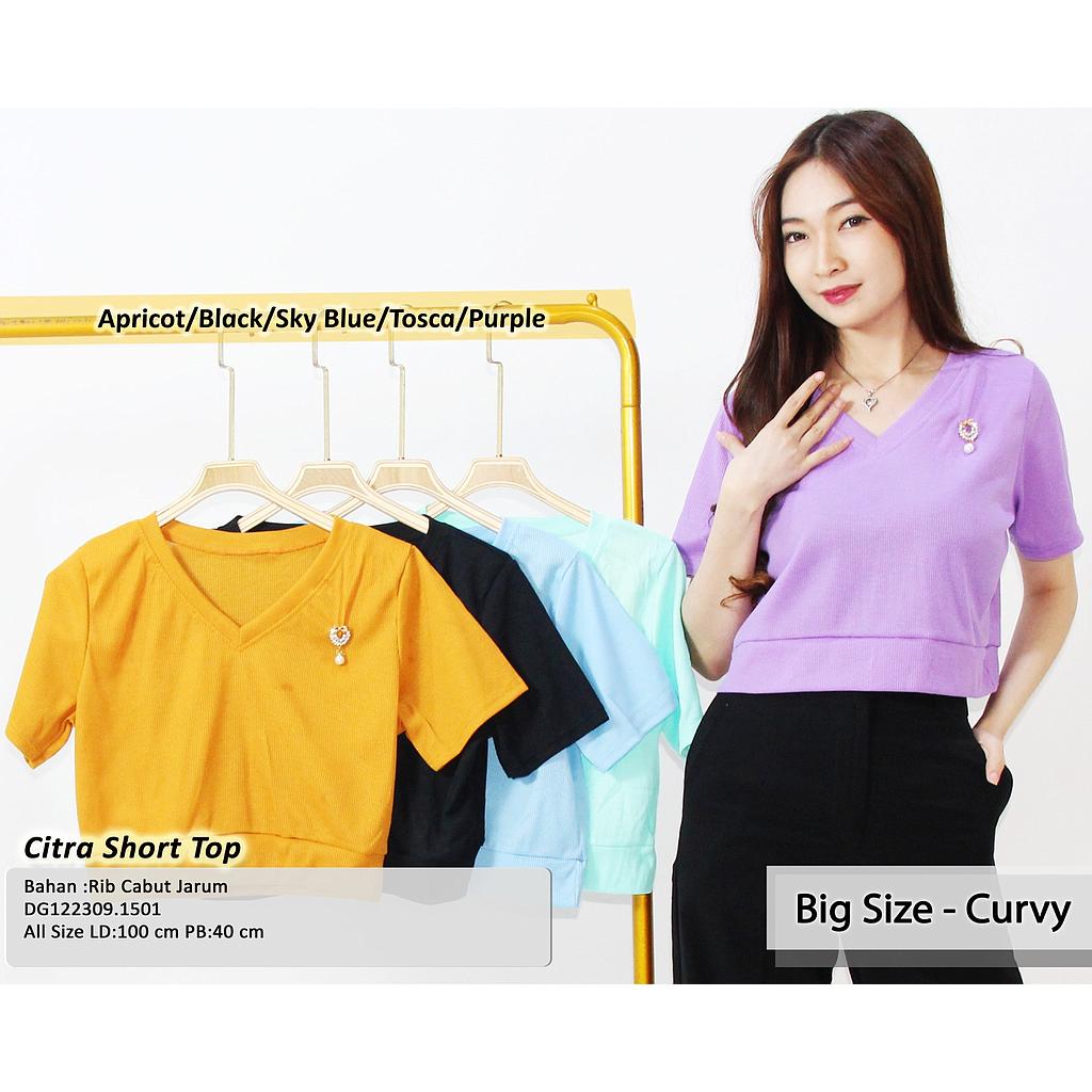 Citra Short Top (DG150)