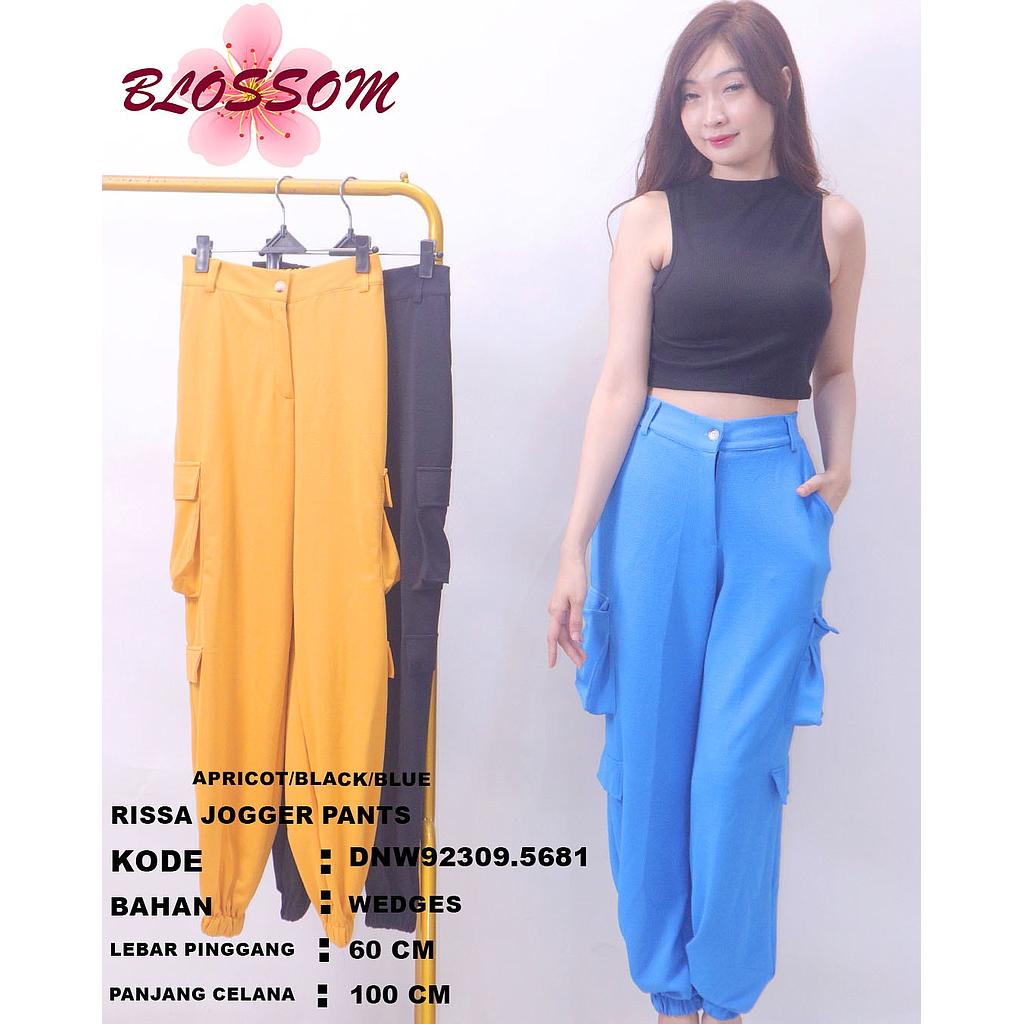 Rissa Jogger pants (DN568)