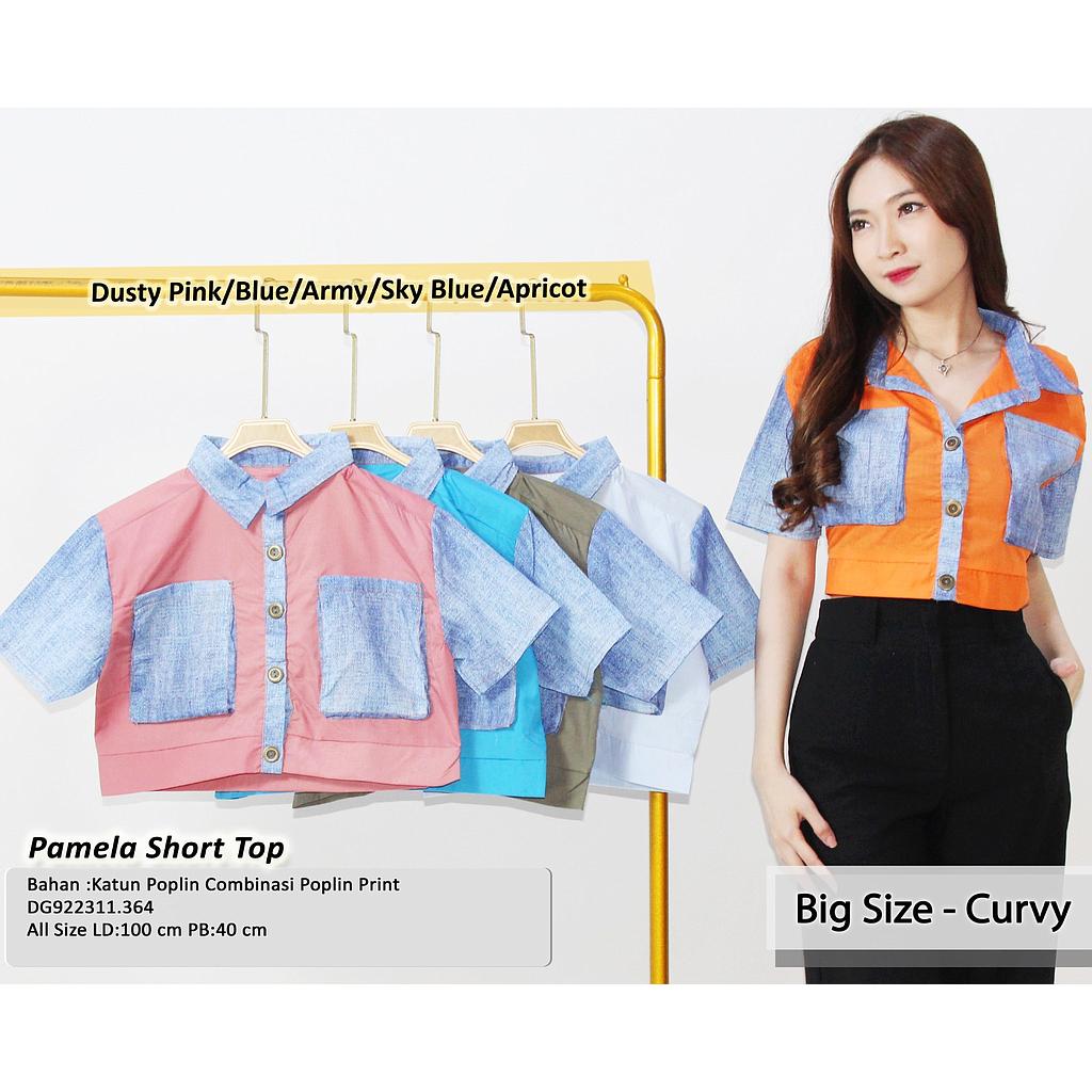 Pamela short top (DG364)