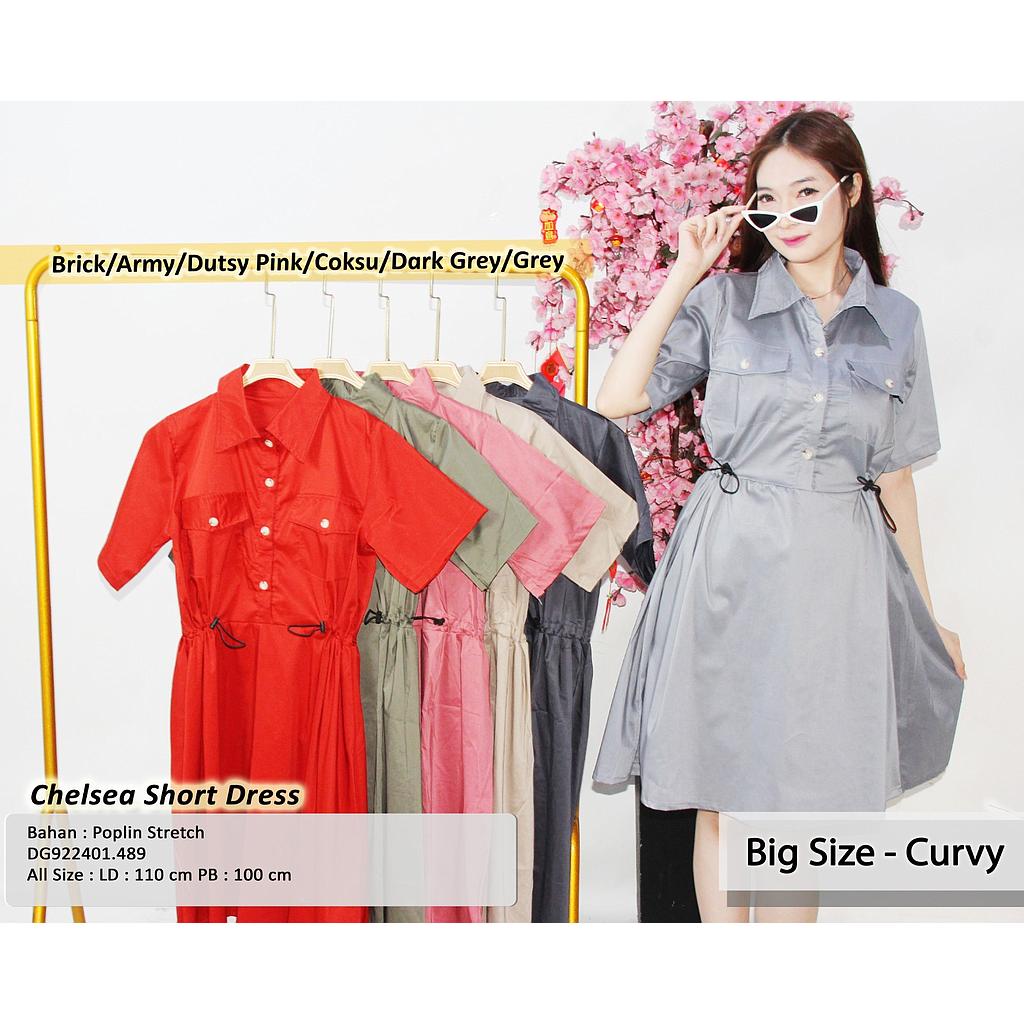 Chelsea short Dress (DG489)
