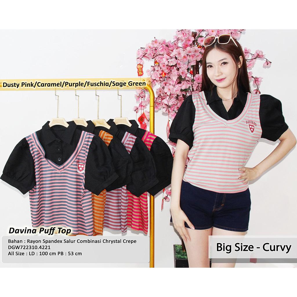 Davina Puff Top (DG422)